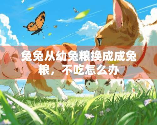 兔兔从幼兔粮换成成兔粮，不吃怎么办