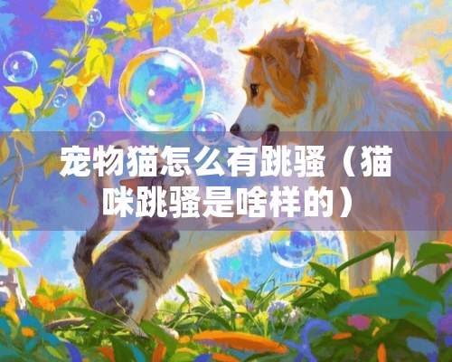 宠物猫怎么有跳*（猫咪跳*是啥样的）