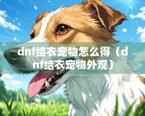 dnf结衣宠物怎么得（dnf结衣宠物外观）