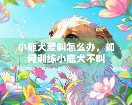 小鹿犬爱叫怎么办，如何训练小鹿犬不叫