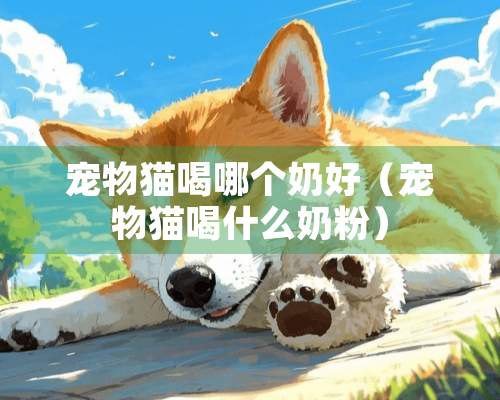 宠物猫喝哪个奶好（宠物猫喝什么奶粉）