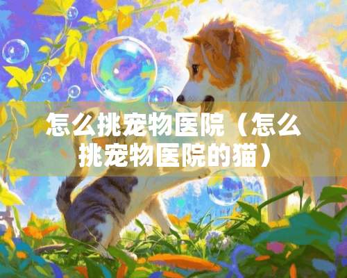 怎么挑宠物医院（怎么挑宠物医院的猫）