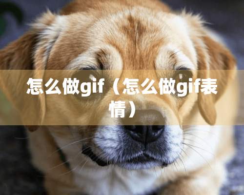 怎么做gif（怎么做gif表情）