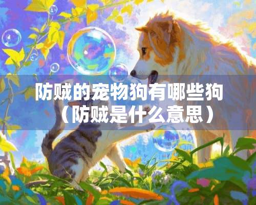 防贼的宠物狗有哪些狗（防贼是什么意思）