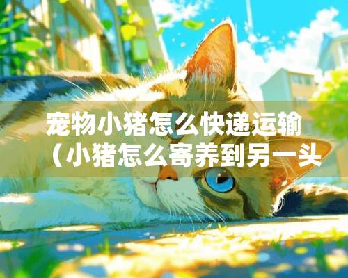 宠物小猪怎么快递运输（小猪怎么寄养到另一头）