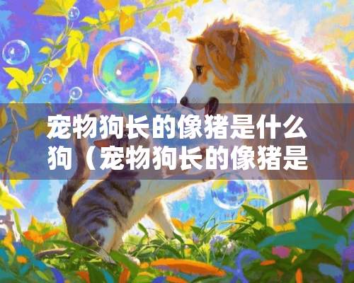 宠物狗长的像猪是什么狗（宠物狗长的像猪是什么狗品种）