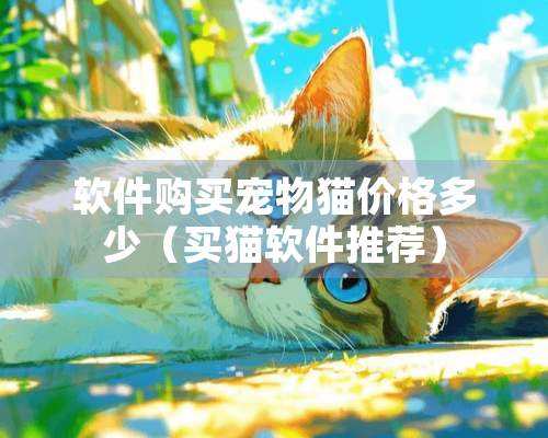 软件购买宠物猫价格多少（买猫软件推荐）