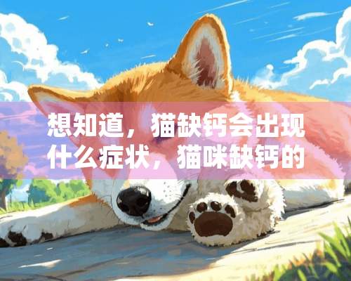 想知道，猫缺钙会出现什么症状，猫咪缺钙的症状有哪些，不知道我家的猫是不是缺钙了！