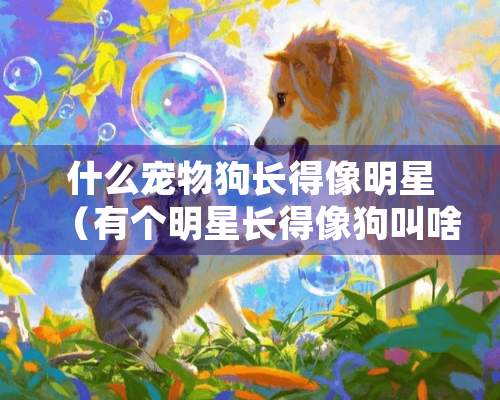 什么宠物狗长得像明星（有个明星长得像狗叫啥）