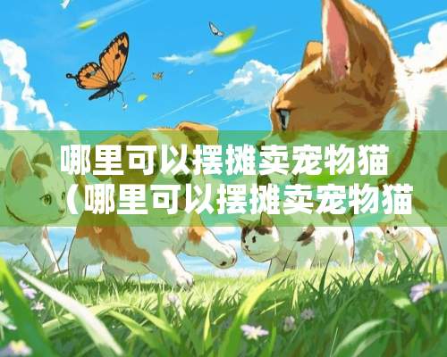 哪里可以摆摊卖宠物猫（哪里可以摆摊卖宠物猫呢）