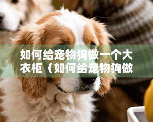 如何给宠物狗做一个大衣柜（如何给宠物狗做一个大衣柜呢）