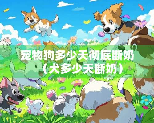 宠物狗多少天彻底断奶（犬多少天断奶）