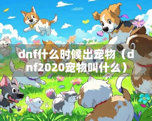 dnf什么时候出宠物（dnf2020宠物叫什么）