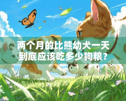 两个月的比熊幼犬一天到底应该吃多少狗粮？