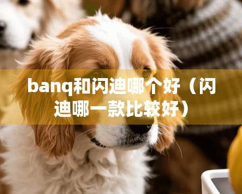 banq和闪迪哪个好（闪迪哪一款比较好）