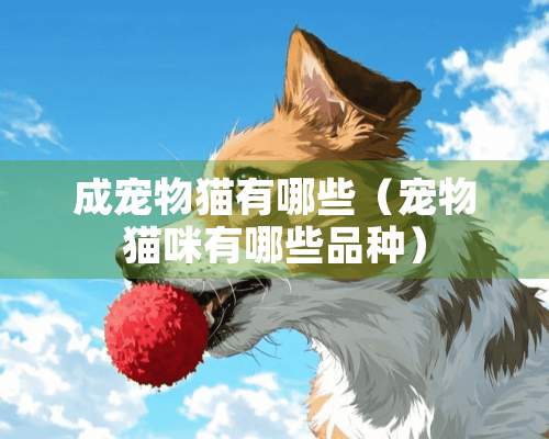 成宠物猫有哪些（宠物猫咪有哪些品种）