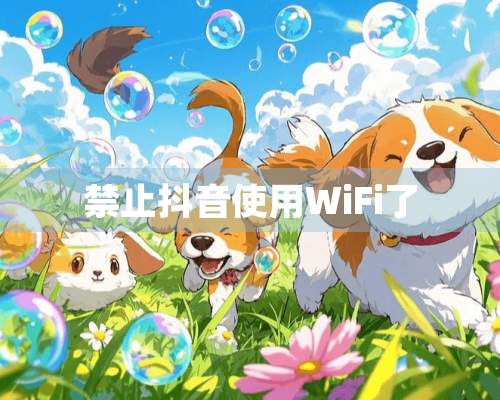 禁止抖音使用WiFi了