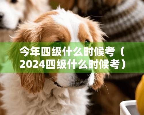 今年四级什么时候考（2024四级什么时候考）