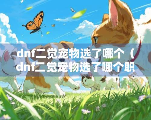 dnf二觉宠物选了哪个（dnf二觉宠物选了哪个职业）