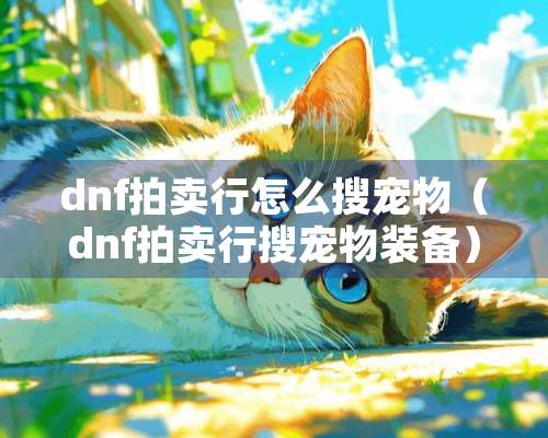 dnf拍卖行怎么搜宠物（dnf拍卖行搜宠物装备）