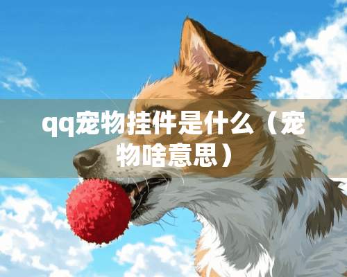 qq宠物挂件是什么（宠物啥意思）