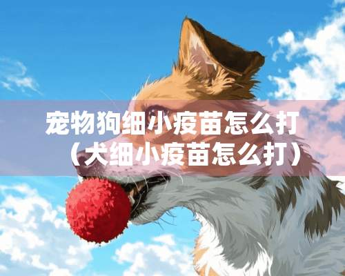 宠物狗细小疫苗怎么打（犬细小疫苗怎么打）