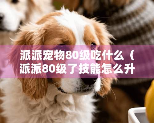 派派宠物80级吃什么（派派80级了技能怎么升）