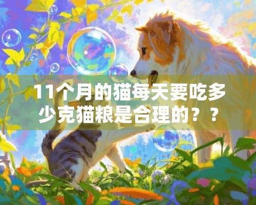 11个月的猫每天要吃多少克猫粮是合理的？？