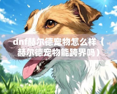 dnf赫尔德宠物怎么样（赫尔德宠物能跨界吗）