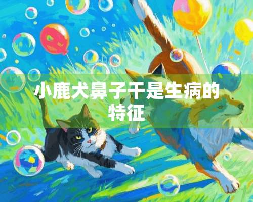 小鹿犬鼻子干是生病的特征