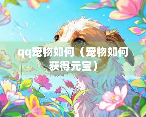 qq宠物如何（宠物如何获得元宝）