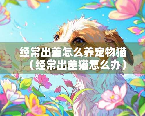 经常出差怎么养宠物猫（经常出差猫怎么办）