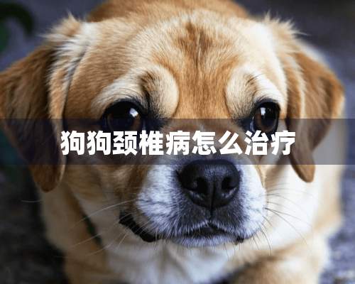 狗狗***怎么治疗