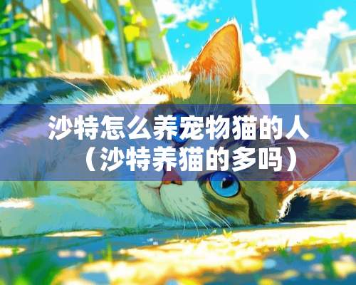 沙特怎么养宠物猫的人（沙特养猫的多吗）