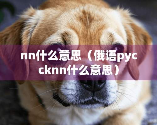 nn什么意思（俄语pyccknn什么意思）