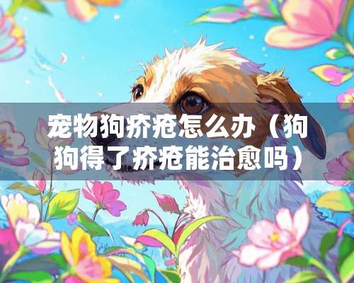 宠物狗疥疮怎么办（狗狗得了疥疮能治愈吗）