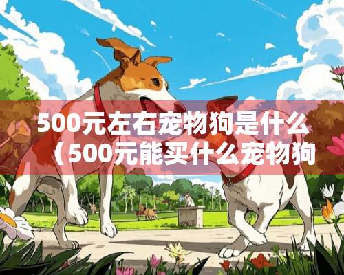 500元左右宠物狗是什么（500元能买什么宠物狗）