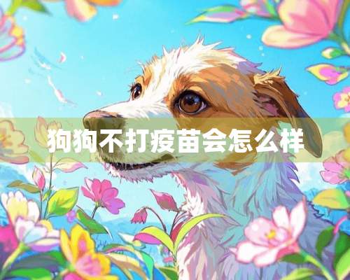 狗狗不打疫苗会怎么样