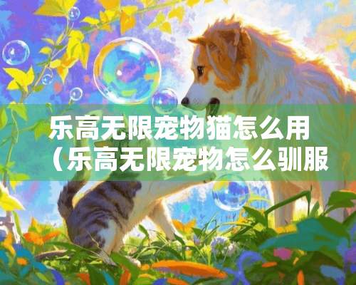 乐高无限宠物猫怎么用（乐高无限宠物怎么驯服）