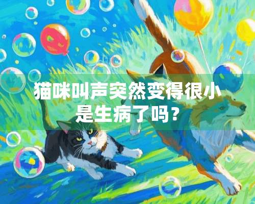 猫咪叫声突然变得很小是生病了吗？