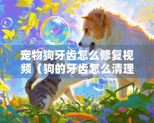 宠物狗牙齿怎么修复视频（狗的牙齿怎么清理）