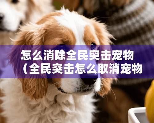 怎么消除全民突击宠物（全民突击怎么取消宠物）