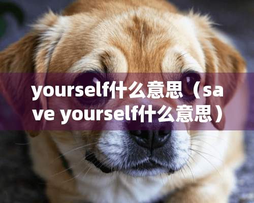 yourself什么意思（save yourself什么意思）