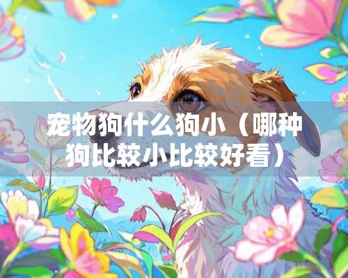 宠物狗什么狗小（哪种狗比较小比较好看）