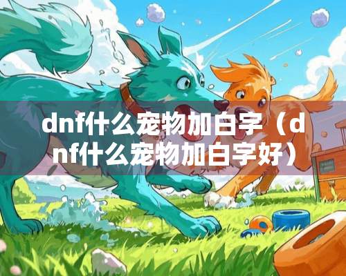 dnf什么宠物加白字（dnf什么宠物加白字好）