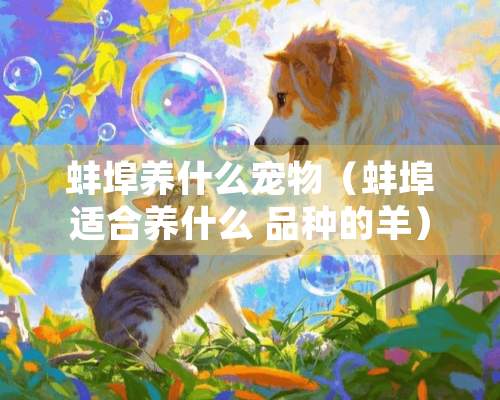 蚌埠养什么宠物（蚌埠适合养什么 品种的羊）