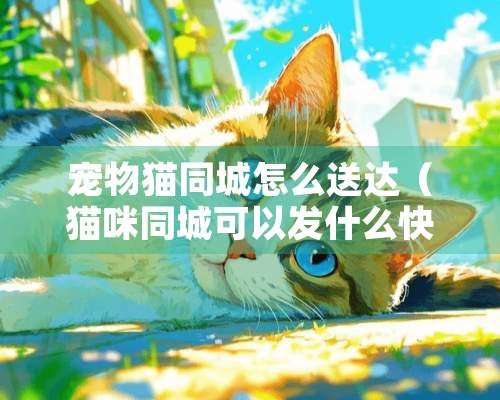 宠物猫同城怎么送达（猫咪同城可以发什么快递）