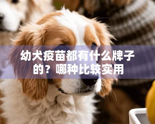 幼犬疫苗都有什么牌子的？哪种比较实用