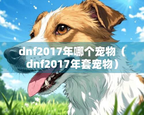 dnf2017年哪个宠物（dnf2017年套宠物）