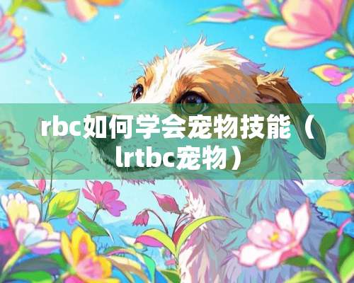 rbc如何学会宠物技能（lrtbc宠物）